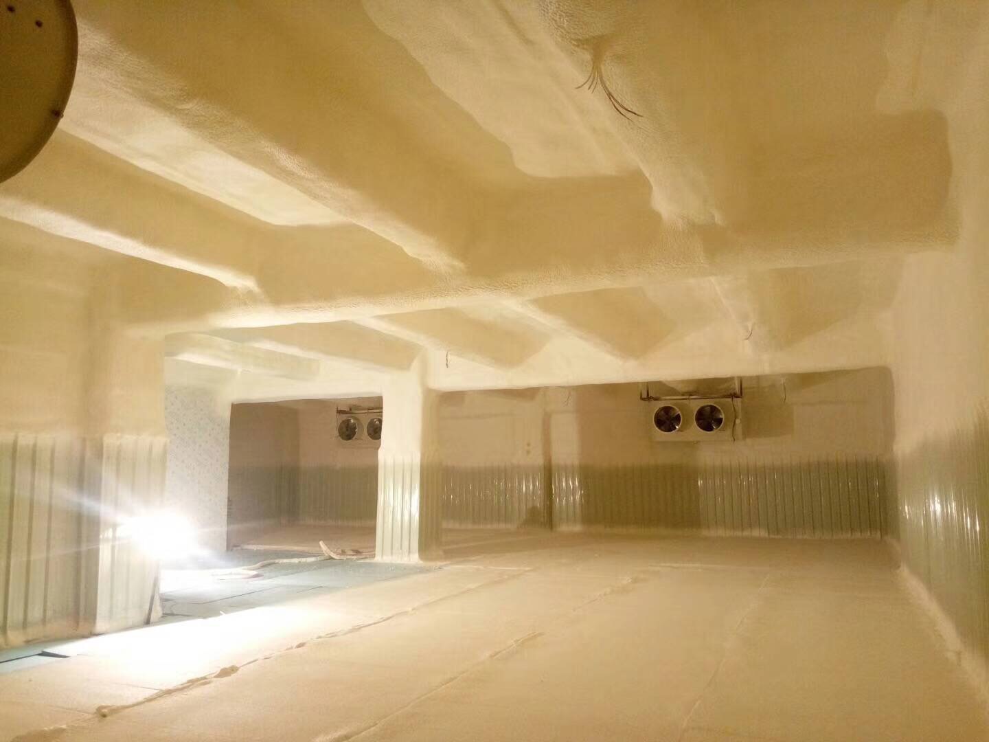 噴涂冷藏庫(kù)-25度